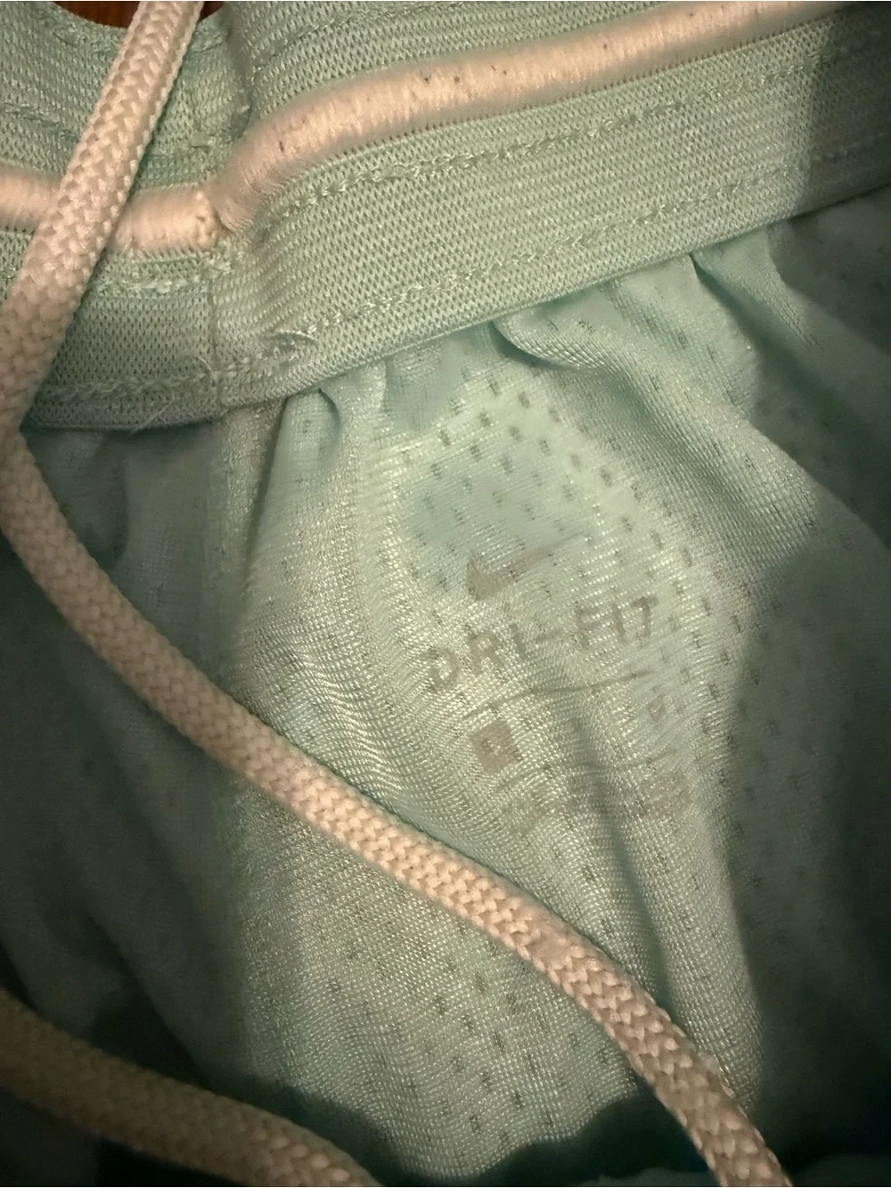Nike Men's Light Mint Green Mesh Athletic Shorts